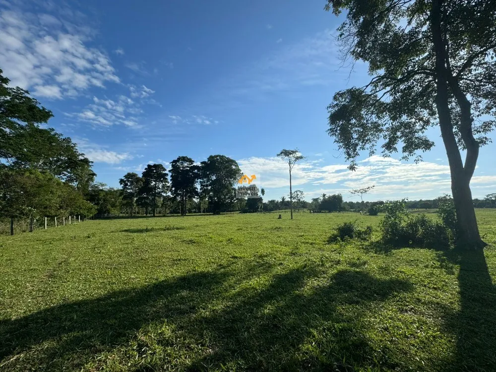 Sítio - Foto 5