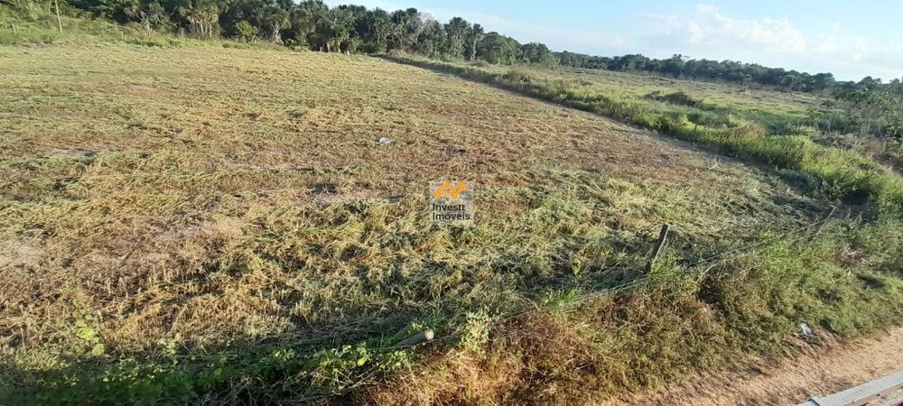 Terreno à venda - Foto 2