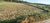 Terreno - Foto 2