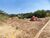 Terreno - Foto 3