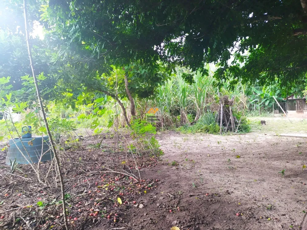 Terreno - Foto 7