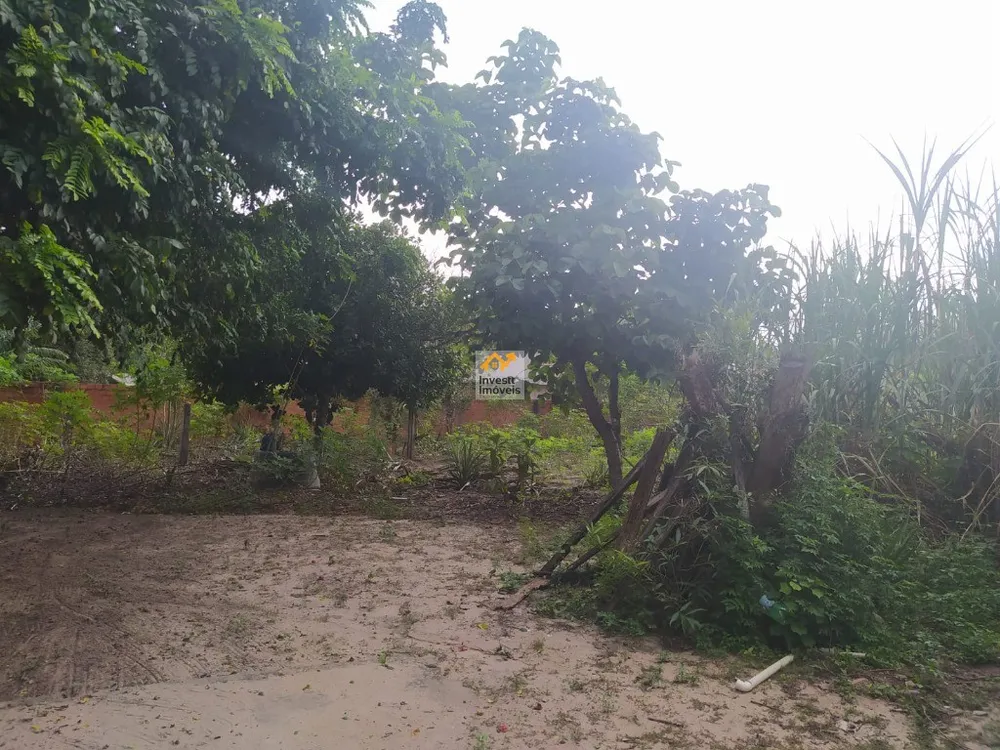 Terreno - Foto 10