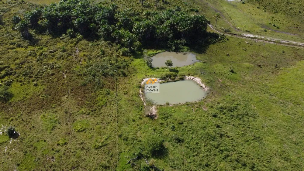 Fazenda - Foto 12