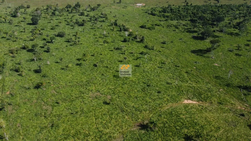 Fazenda - Foto 11