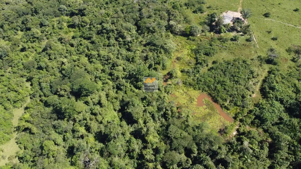 Fazenda - Foto 3