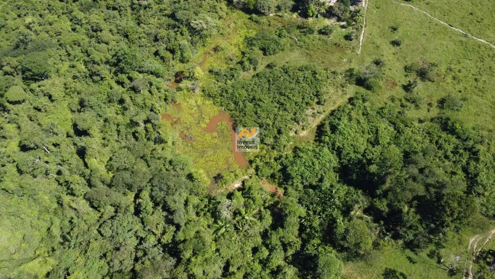 Fazenda - Foto 8