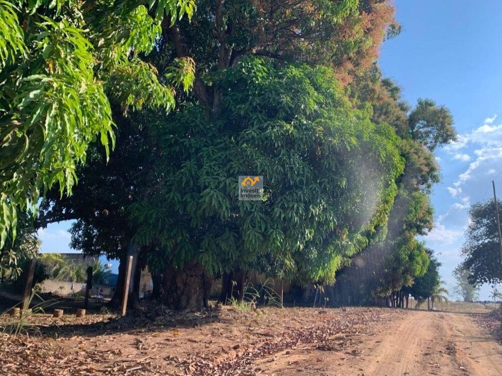 Depósito-Galpão - Foto 2