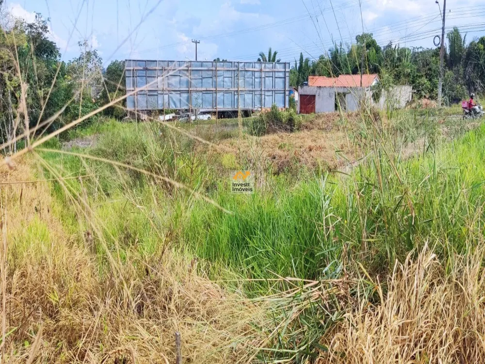 Terreno - Foto 4