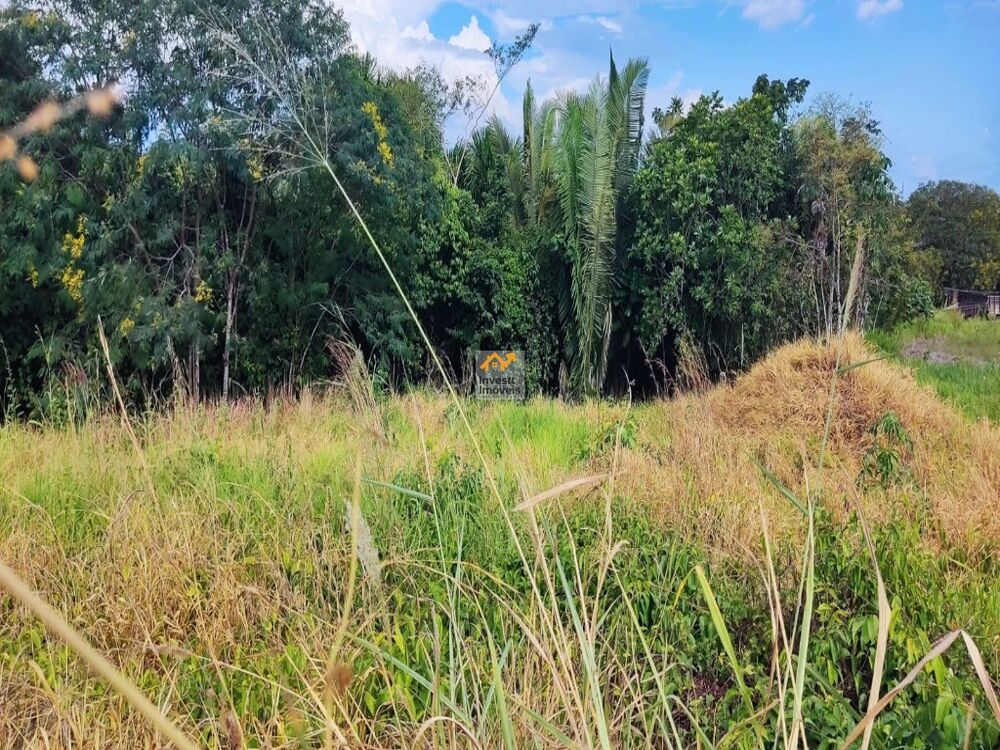 Terreno - Foto 1