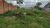 Terreno - Foto 1