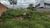 Terreno - Foto 2
