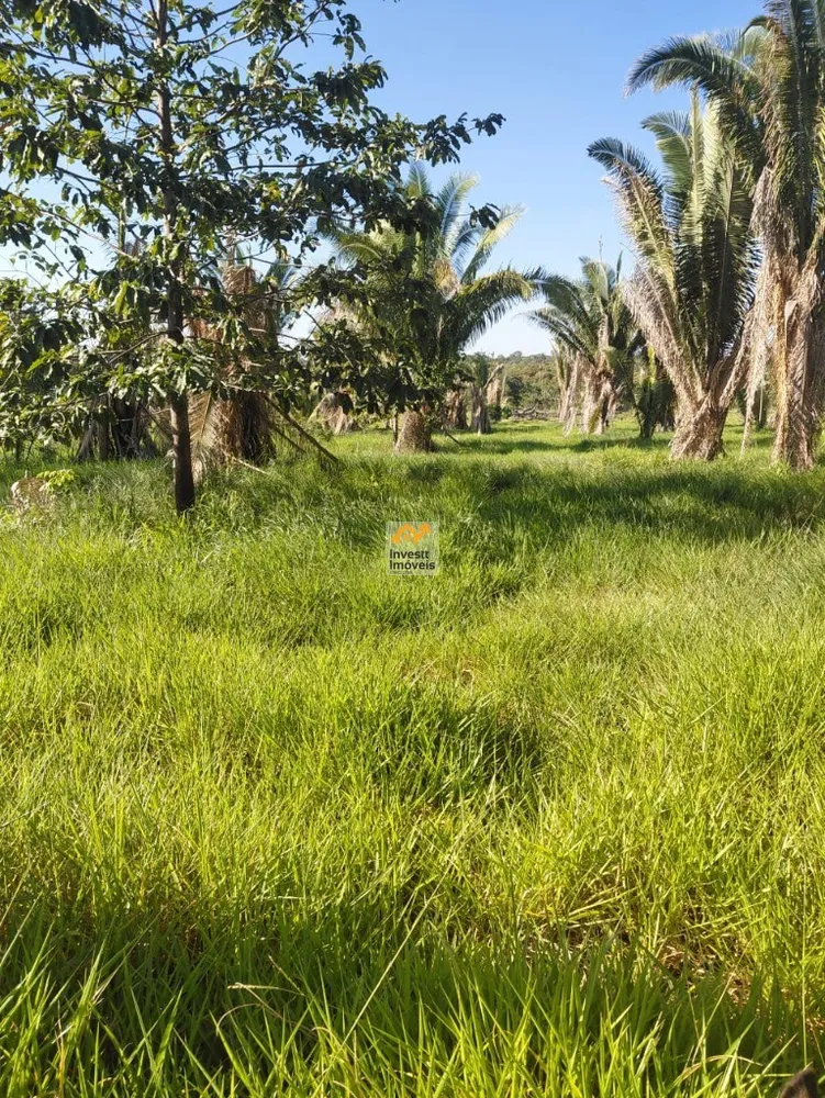 Sítio - Foto 5