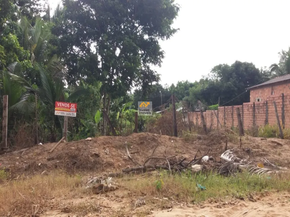 Terreno - Foto 2
