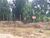 Terreno - Foto 2