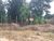 Terreno - Foto 3