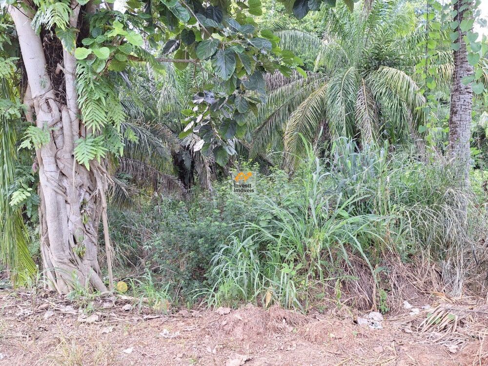 Terreno - Foto 3