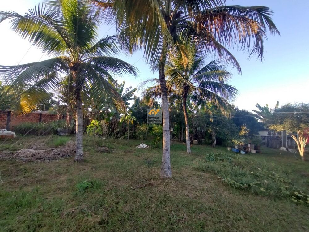 Casa, 4 quartos - Foto 3