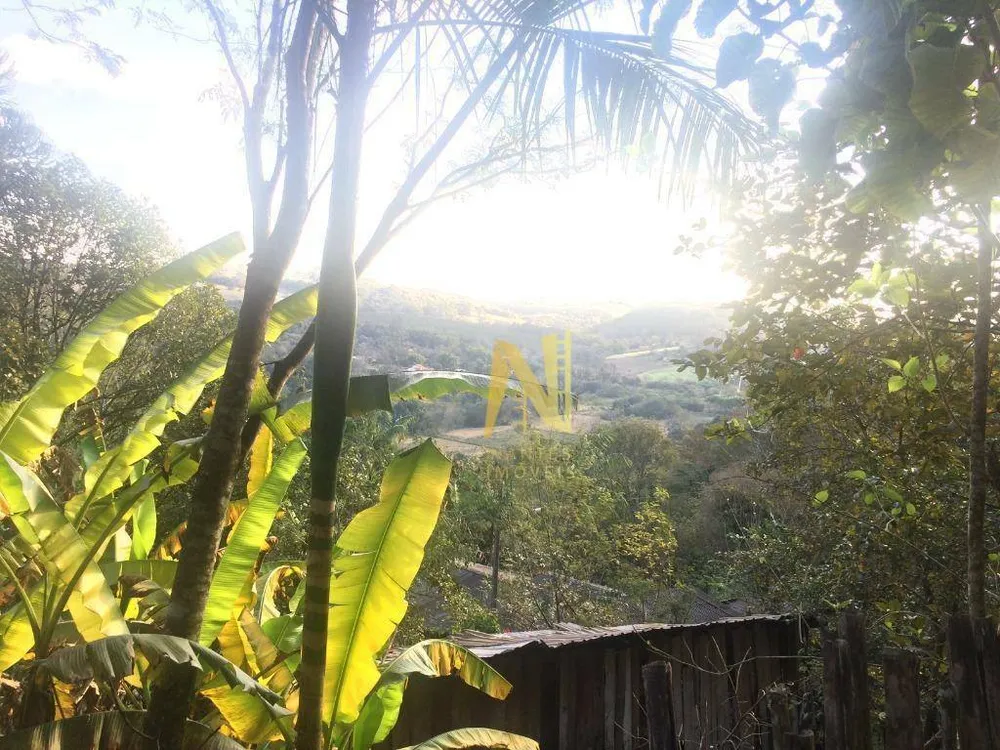 Chácara, 3 quartos, 2 hectares - Foto 33