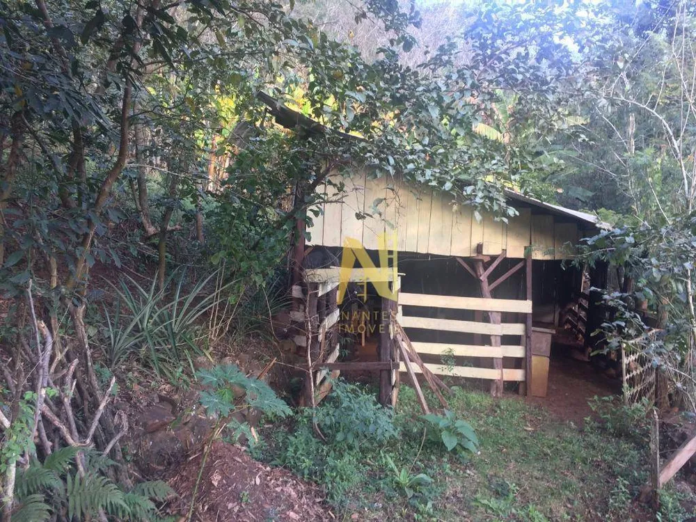 Chácara, 3 quartos, 2 hectares - Foto 27