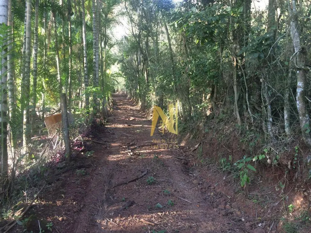 Chácara, 3 quartos, 2 hectares - Foto 30