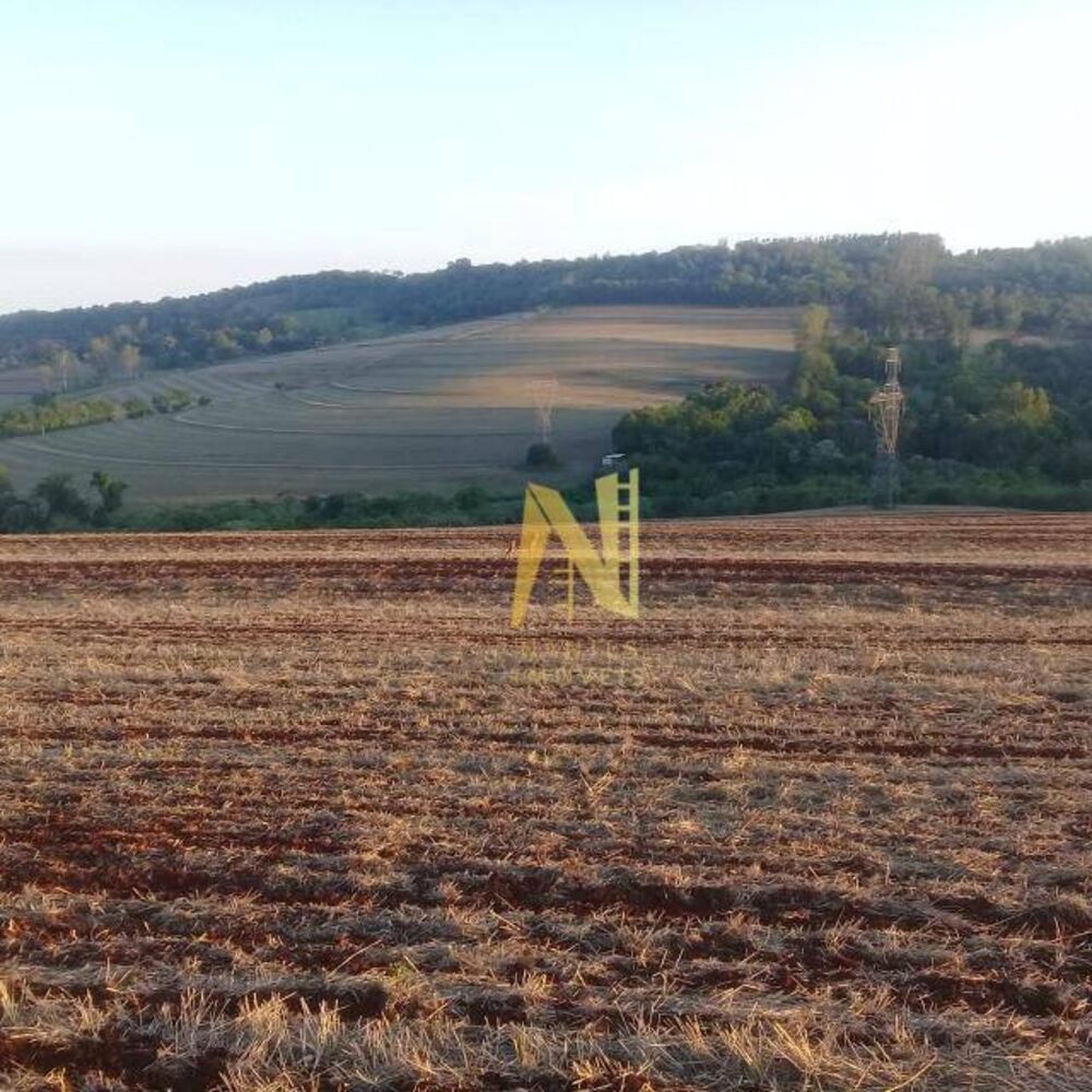Sítio à venda, 1m² - Foto 1