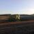 Sítio, 10 hectares - Foto 4