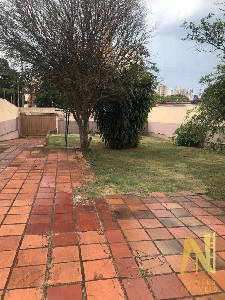 Terreno, 650 m² - Foto 5