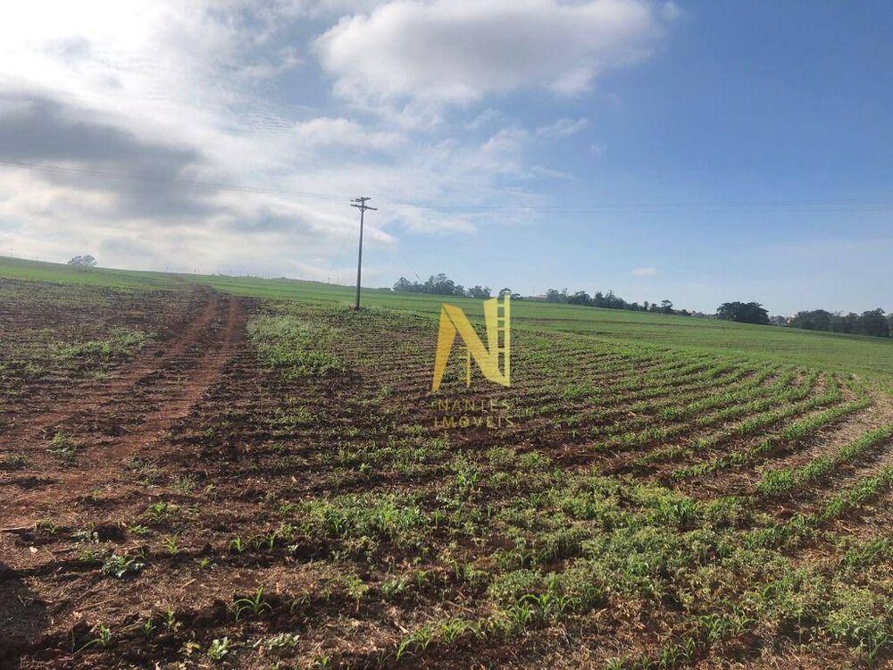 Terreno à venda, 532400M2 - Foto 12