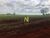 Terreno, 53 hectares - Foto 13