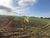 Terreno, 53 hectares - Foto 12