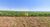 Terreno, 53 hectares - Foto 4