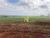 Terreno, 53 hectares - Foto 14