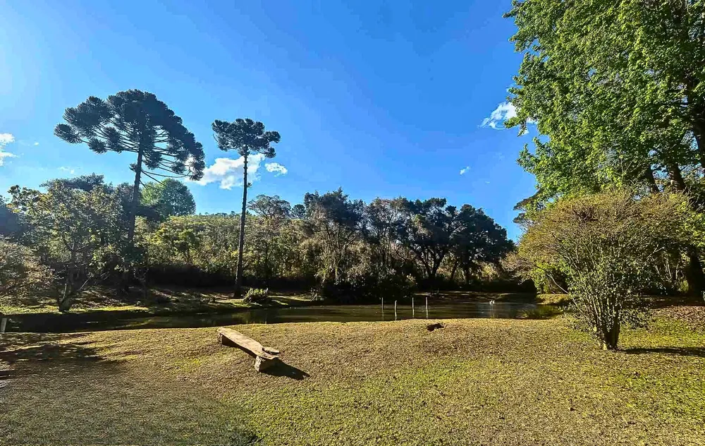 Sítio, 4 quartos, 12 hectares - Foto 16