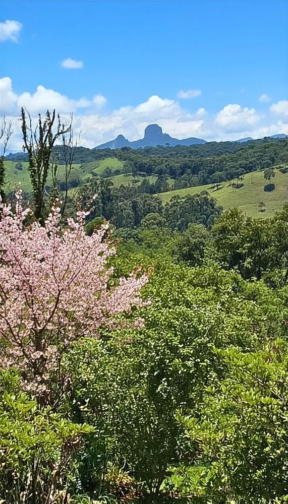 Chácara, 3 quartos, 9600 m² - Foto 7