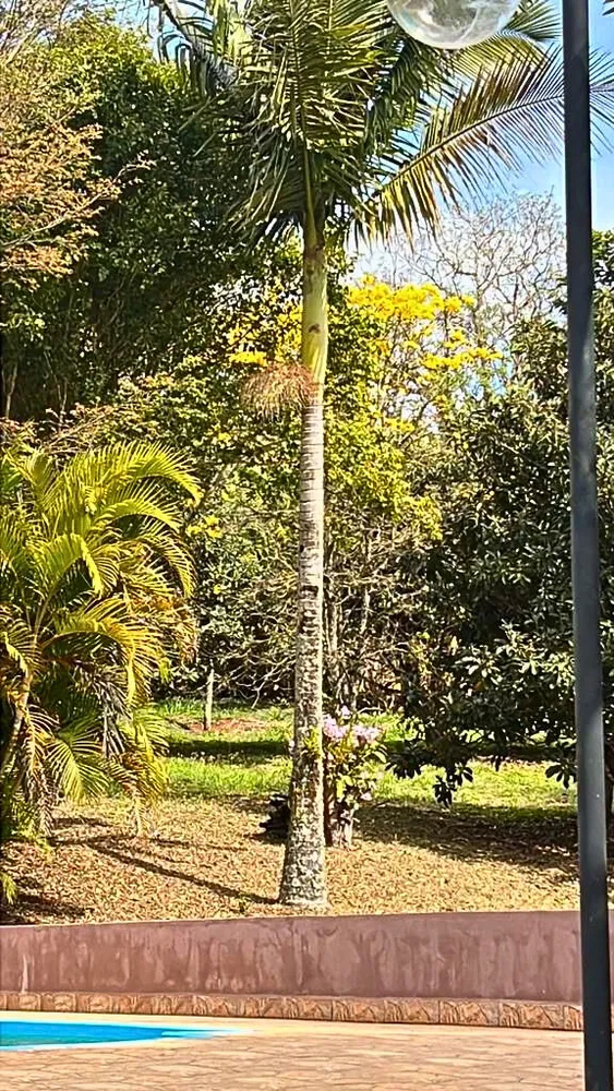 Chácara, 3 quartos, 9600 m² - Foto 11