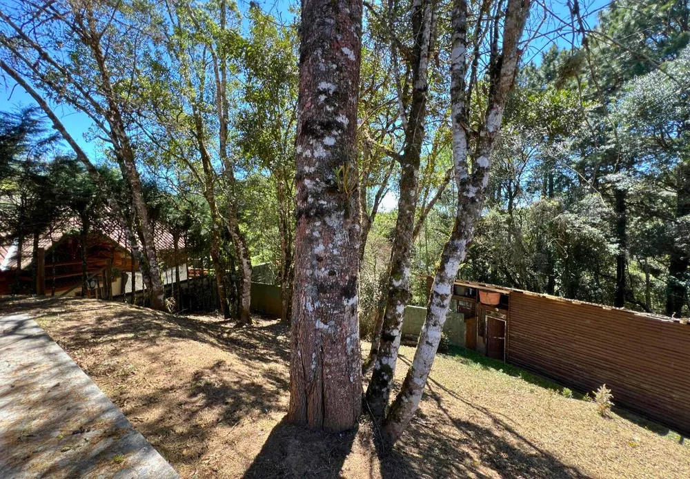 Casa, 6 quartos, 146 m² - Foto 8