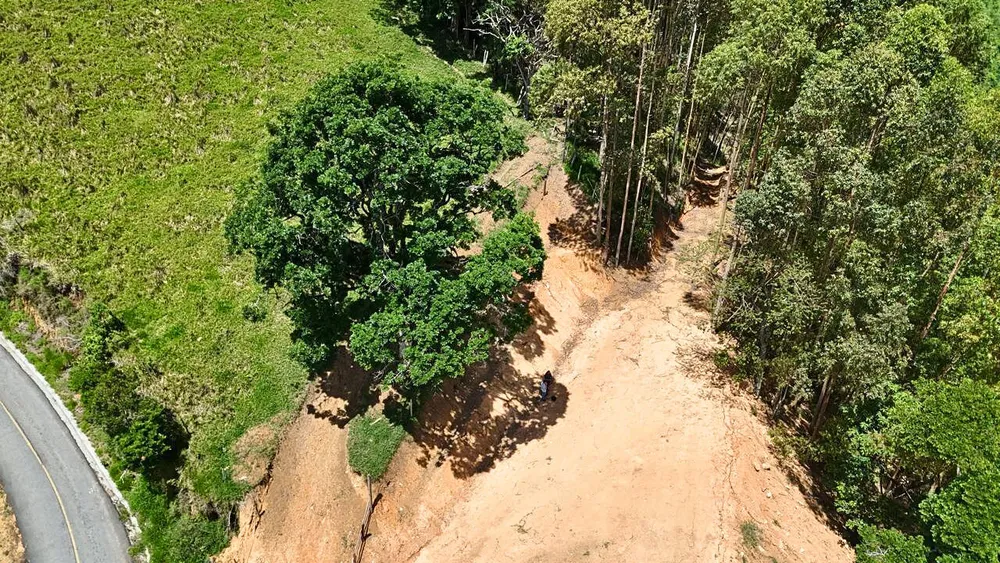 Terreno, 10000 m² - Foto 3