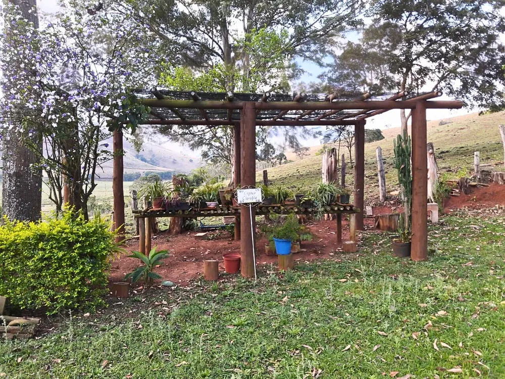 Sítio, 3 quartos, 4 hectares - Foto 6