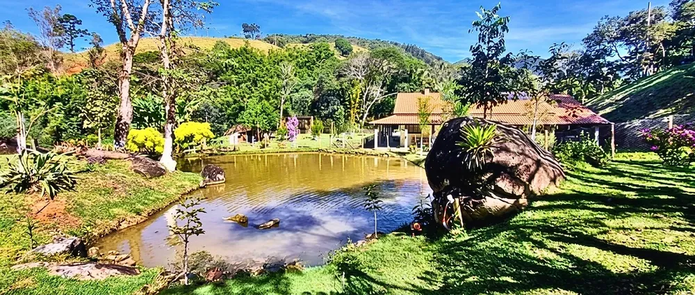 Chácara, 3 quartos, 9000 m² - Foto 4