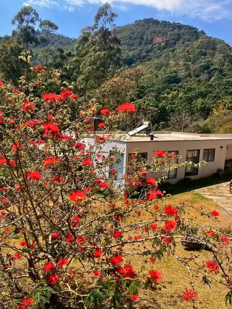 Sítio, 3 quartos, 2 hectares - Foto 19