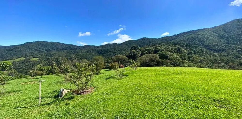Casa, 3 quartos, 200 m² - Foto 14