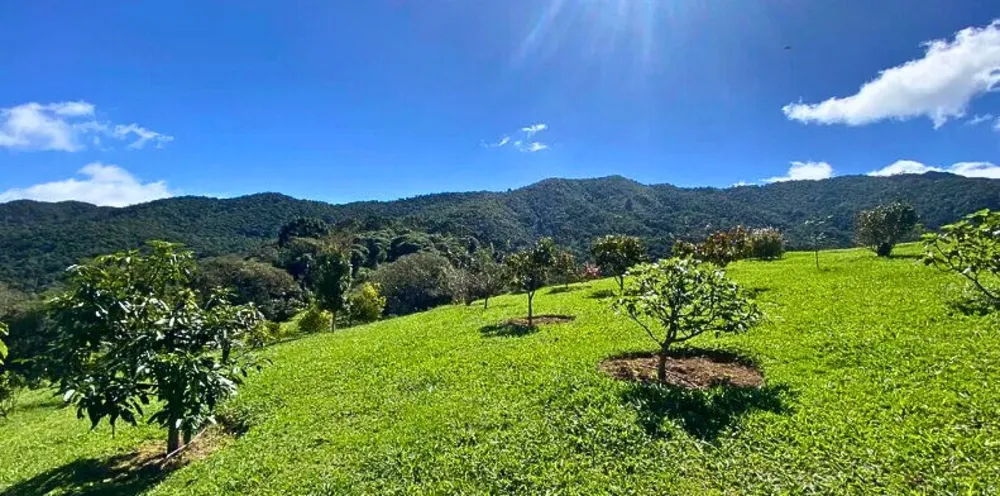 Casa, 3 quartos, 200 m² - Foto 13