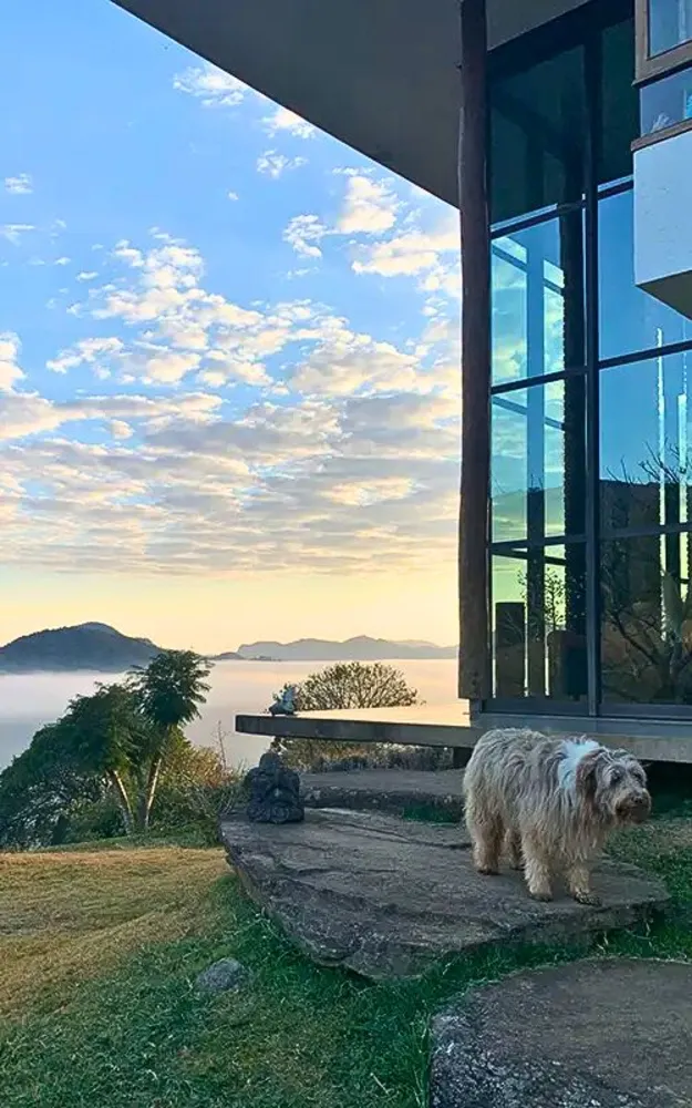 Casa, 5 quartos, 300 m² - Foto 4