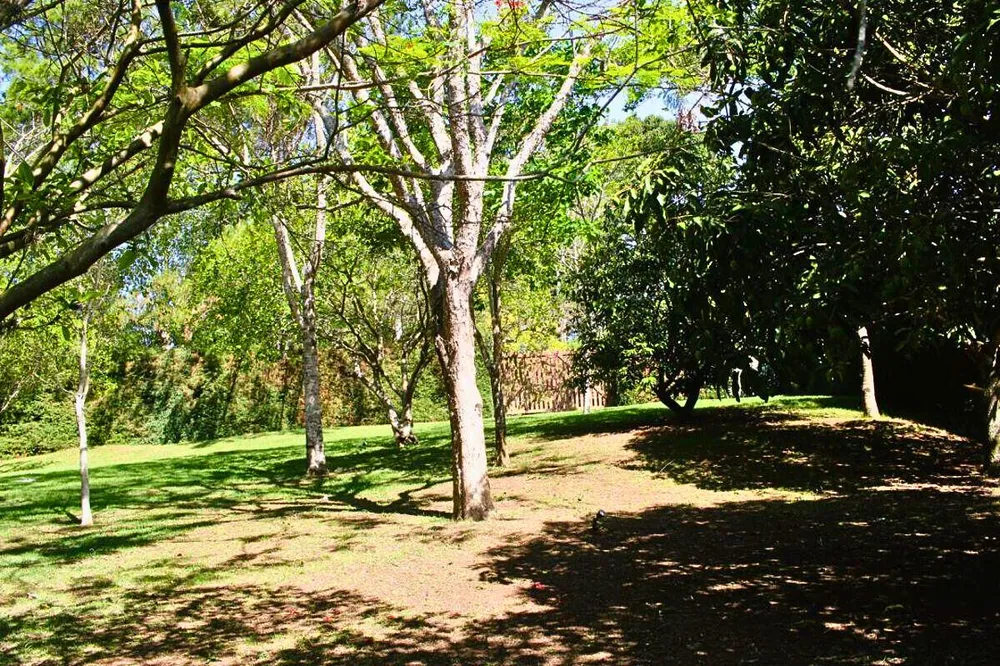 Casa, 2 quartos, 87 m² - Foto 6