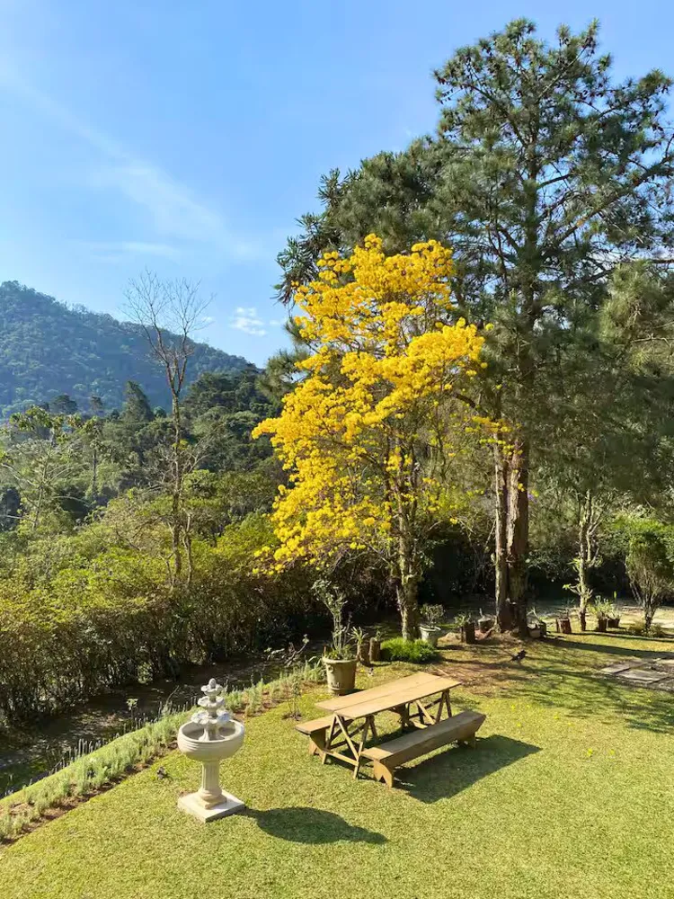 Casa, 4 quartos, 250 m² - Foto 9