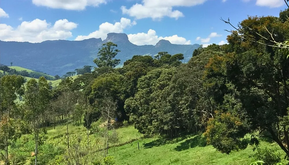 Chácara, 5 quartos, 2 hectares - Foto 3