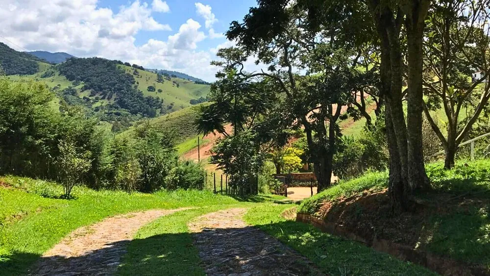 Chácara, 5 quartos, 2 hectares - Foto 6