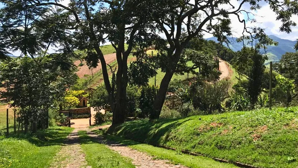 Sítio, 5 quartos, 2 hectares - Foto 8