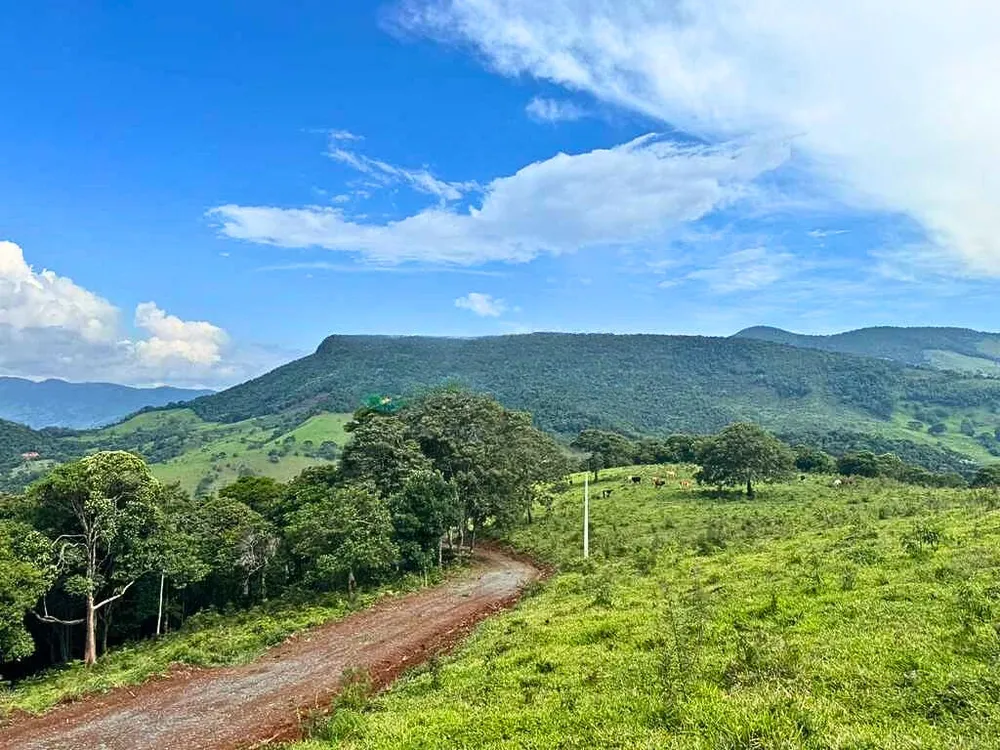 Terreno, 2700 m² - Foto 2