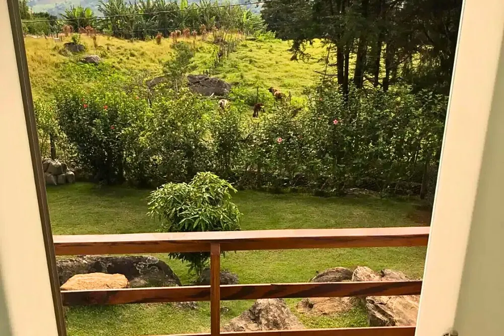 Casa, 3 quartos, 140 m² - Foto 4